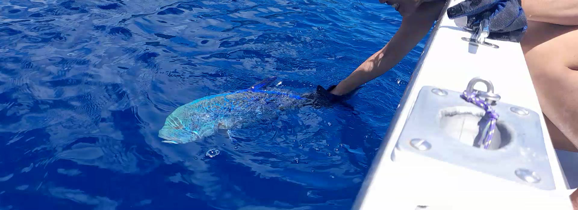 Moorea Sunrise Fishing